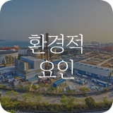 환경적 요인