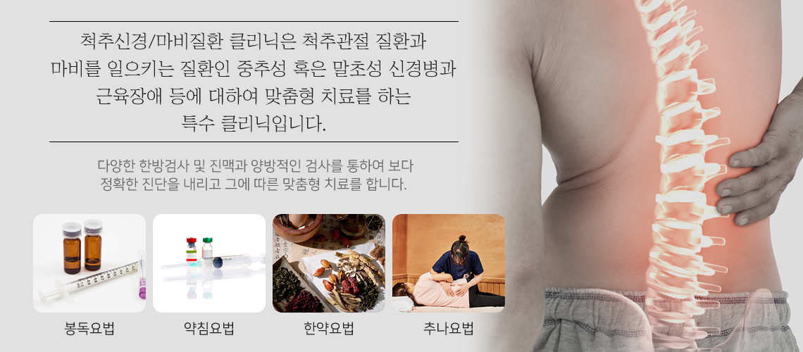 척추신경/마비질환 클리닉