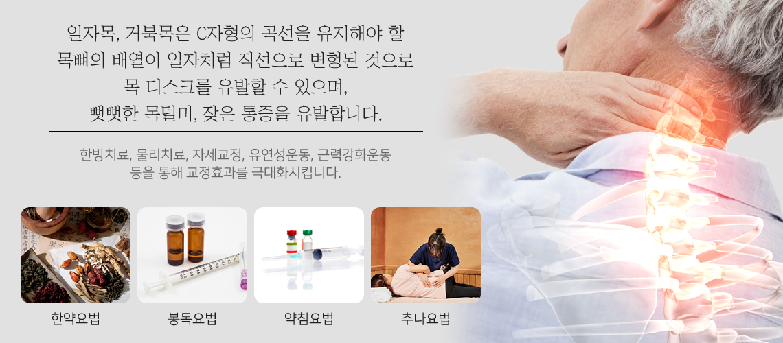 일자목, 거북목의 원인과 치료목표
